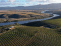Sijnn Wines