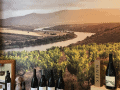 Sijnn Wines