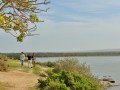 Bird-Walk