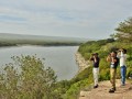 Bird-Walk