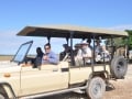 nature drive