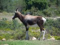flora, fauna and landscapes