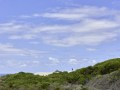 flora, fauna and landscapes