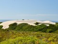 flora, fauna and landscapes
