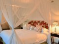 Accommodation-Fig-Tree-Suite-2