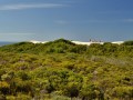 flora, fauna and landscapes