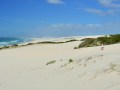 Marine-Walk