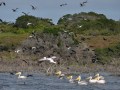 flora, fauna and landscapes