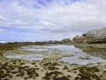 Marine-Walk