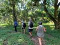 Wild Coast Walk-March 2020
