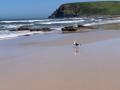 Wild Coast Walk-March 2020