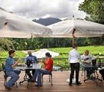 Discover Rickety Bridge wines and restaurant on foot