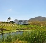 La Vierge Wines, Hermanus Cycling Holiday LAVIERGE.v01