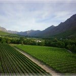 Cape Winelands Cycling 12 Lanzerac