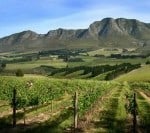 Newton Johnson Wines, Hermanus Cycling holiday Newton Johnson.v01