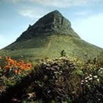 Lions Head Cape Town guided hike