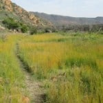 Cederberg Drive and Hike 21 Krakadouw hiking trail in the Cederberg