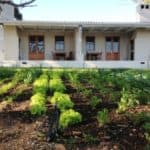 Black Oystercatcher Cottages