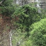 Hike to Tiger Falls in Royal Natal National Park
