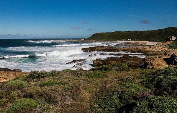 Walk along coastal fynbos on St Francis Coast