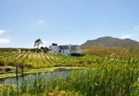 Hermanus cycling holiday includes visits to wine estates