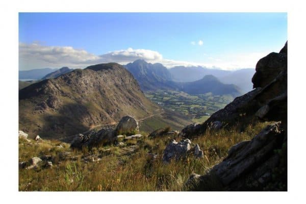 Cape winelands scenery near Franschhoek