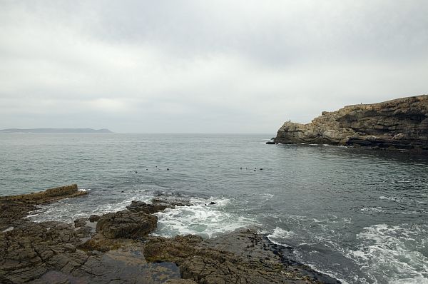 Hermanus Walk includes cliffpath along coast