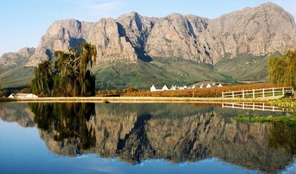 Cycling in the Cape Winelands- wine tasting