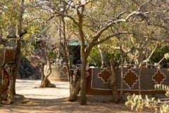 Bushveld camping in natural environment