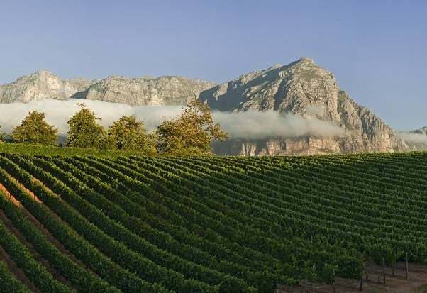 Cycling in the Cape Winelands- visit award winning estates