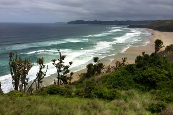 wild coast walking tours