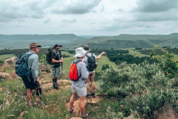 Drakensberg Giants Castle biodiversity explained by guide