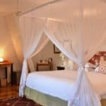 Fig Tree Suite