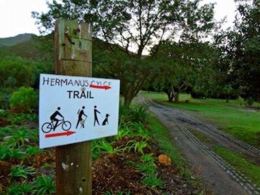 Hermanus Cycling Holiday