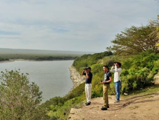 Enjoy bird and game sightings in De Hoop vlei area
