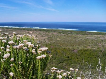 Knysna Forest and Coastal Walks 2 Goukamma Nature Reserve 2