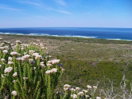 Knysna Forest and Coastal Walks 2 Goukamma Nature Reserve 2