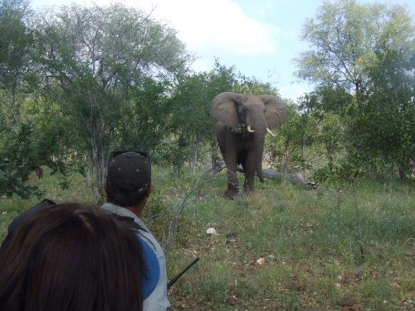 Kruger Wilderness Trails