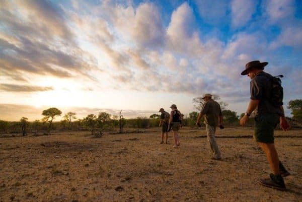 Exploring Kruger wildlife with ranger on Wilderness Trails