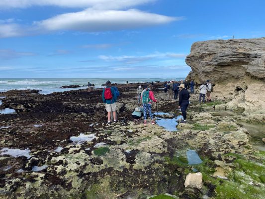 Whale Coast Walk 2024-09-18