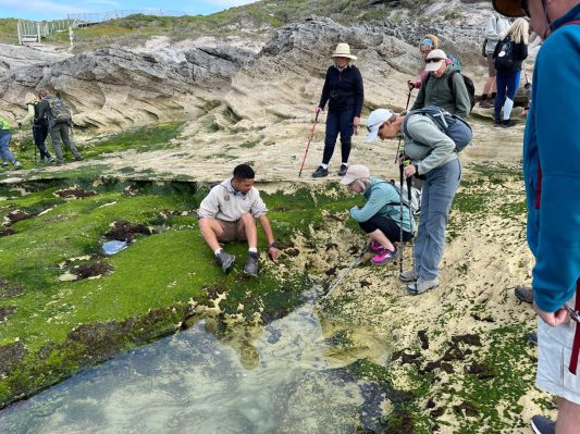 Whale Coast marine walk 2024-09-18