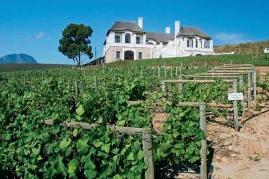 Hermanus Cycling Holiday 3 Wine tasting at estates along Hermanus Cycling route