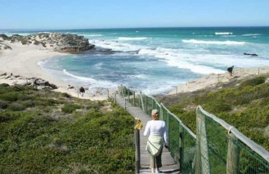 Interpretive marine walk on Whale coast